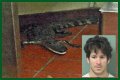 Florida Man Throws Crocodile In Drive Thru