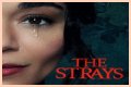 “The Strays” Is Set To Released On Netflix