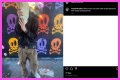 Who is Miles Pfeffer? And Know Some Facts About Miles Pfeffer!!!